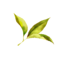 leaf_4